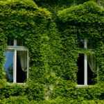 Los modelos de ventanas para frentes de casas más deseados
