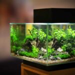 cristal para un acuario