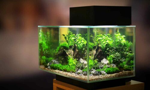 cristal para un acuario