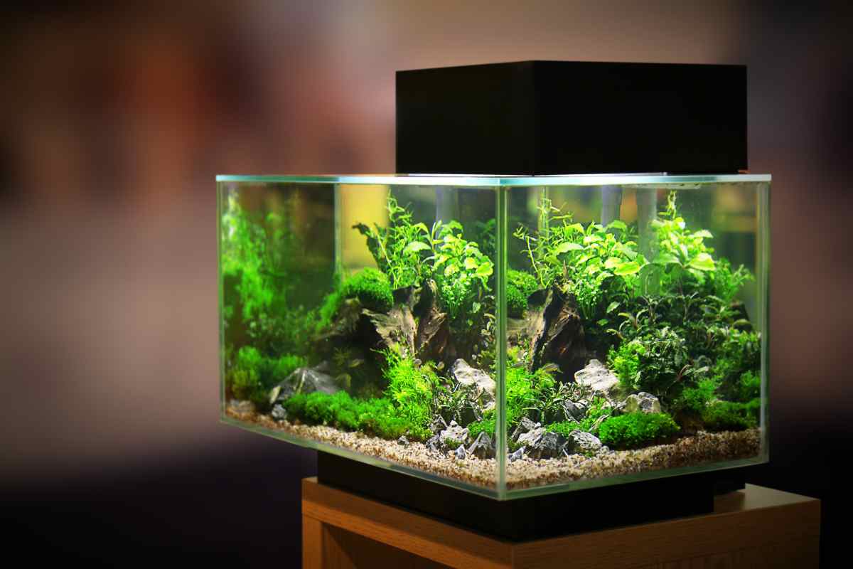 cristal para un acuario
